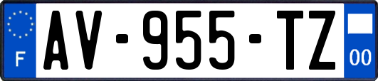 AV-955-TZ