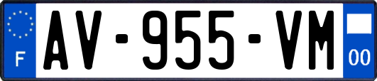 AV-955-VM