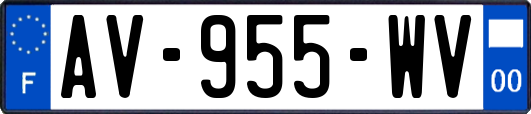AV-955-WV