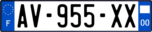 AV-955-XX