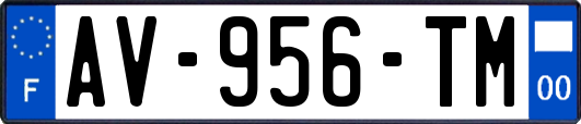 AV-956-TM