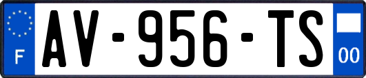 AV-956-TS
