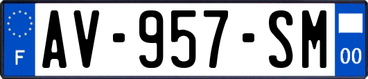 AV-957-SM