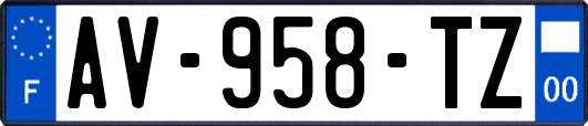 AV-958-TZ
