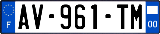 AV-961-TM