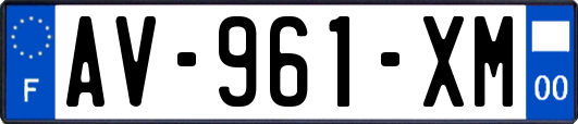 AV-961-XM