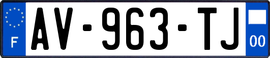 AV-963-TJ