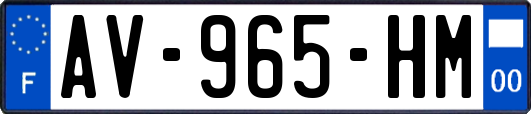 AV-965-HM
