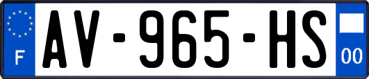 AV-965-HS