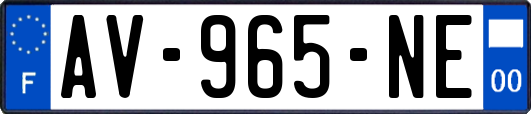 AV-965-NE