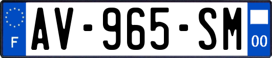 AV-965-SM