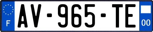 AV-965-TE