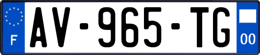 AV-965-TG