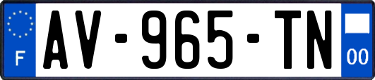 AV-965-TN