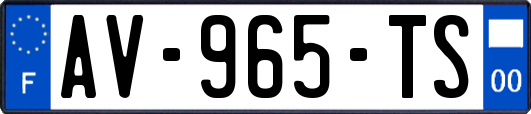 AV-965-TS