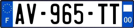 AV-965-TT