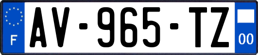 AV-965-TZ