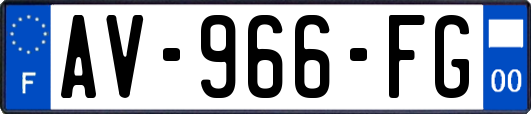 AV-966-FG