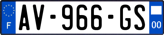 AV-966-GS