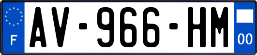 AV-966-HM