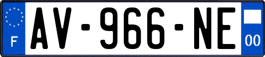 AV-966-NE