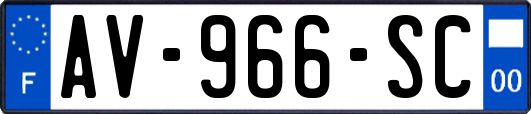 AV-966-SC