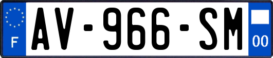 AV-966-SM
