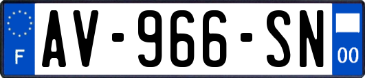 AV-966-SN