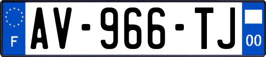 AV-966-TJ