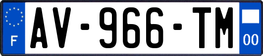 AV-966-TM