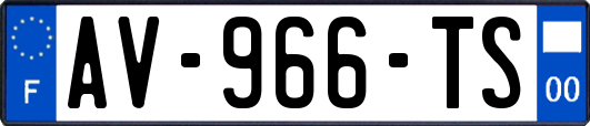 AV-966-TS