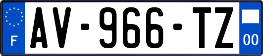 AV-966-TZ