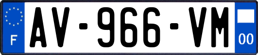 AV-966-VM