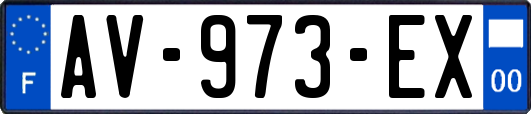 AV-973-EX