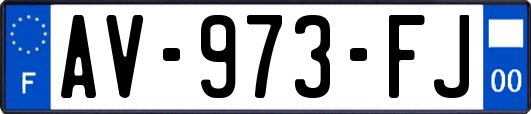 AV-973-FJ