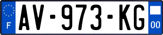 AV-973-KG