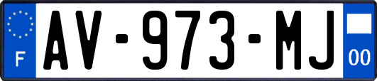 AV-973-MJ