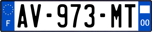 AV-973-MT
