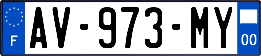 AV-973-MY