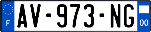 AV-973-NG