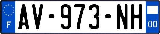 AV-973-NH