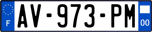 AV-973-PM