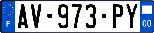 AV-973-PY