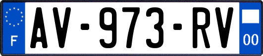 AV-973-RV