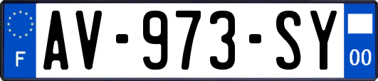 AV-973-SY