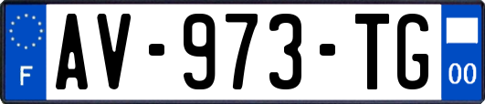 AV-973-TG