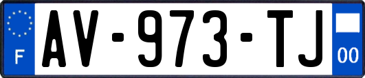 AV-973-TJ
