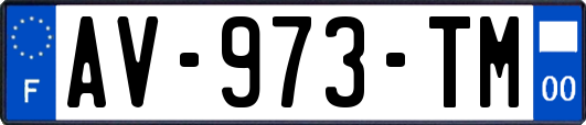 AV-973-TM