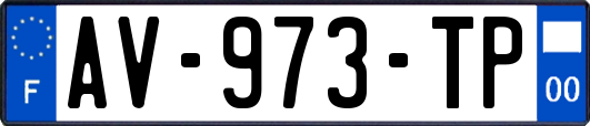 AV-973-TP
