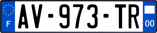 AV-973-TR